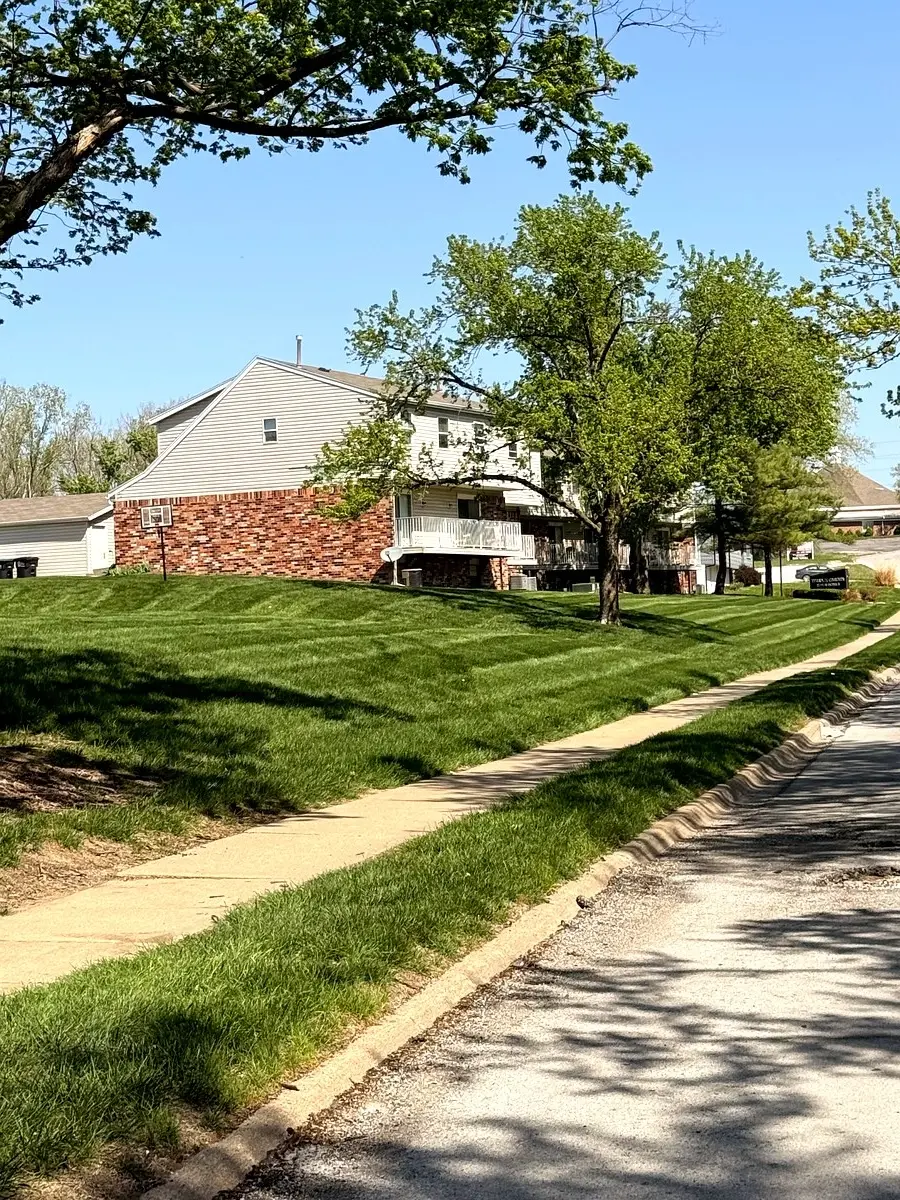 Manicured residential lawn along sidewalk