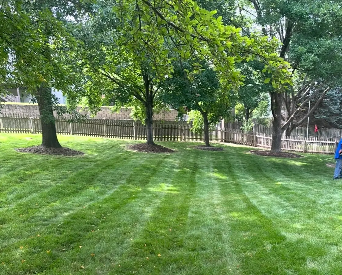 Professional mowing a residential lawn