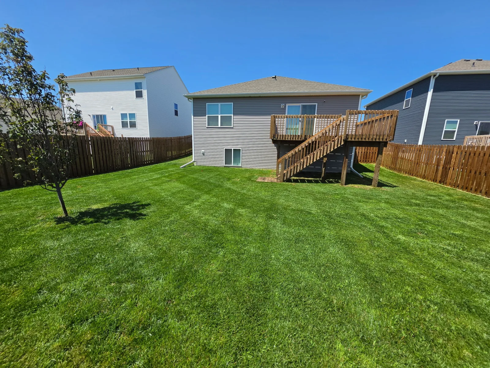 Freshly mowed backyard at an Omaha home